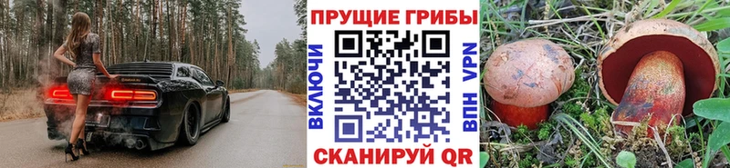 Галлюциногенные грибы Psilocybe  мориарти какой сайт  Пыталово 